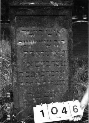 Grabstein 1046 (Index: 100098956) Maße HxBxT: 130x59x45 cm Symbolik: Rosette: Grabstein 1046 (Detailaufnahme)