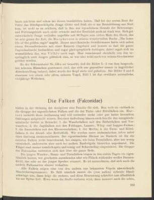 Die Falken (Falconidae)