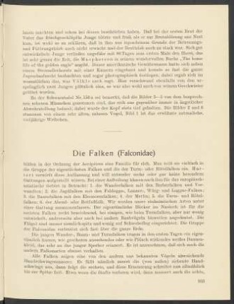Die Falken (Falconidae)