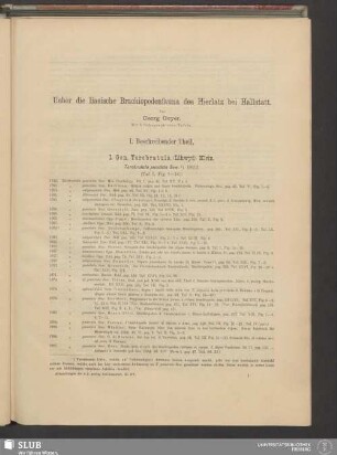 I. Beschreibender Theil