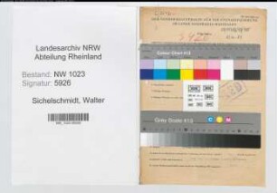 Entnazifizierung Walter Sichelschmidt , geb. 17.12.1893 (Vertreter)