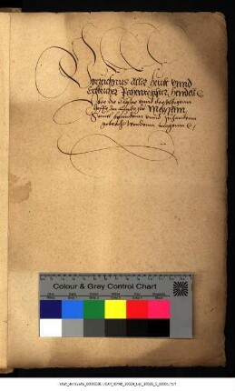Visitation der Klöster im Lande zu Meißen und Thüringen