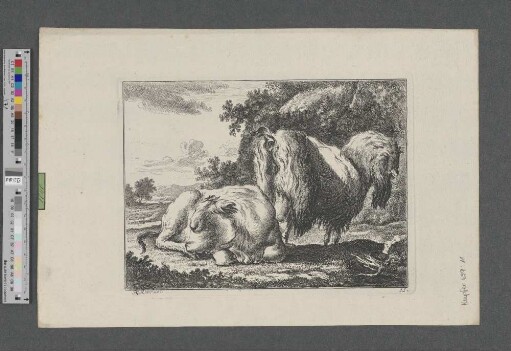 [Liegendes Schaf und rechts davon stehender Schafbock in baumbestandener Hügellandschaft