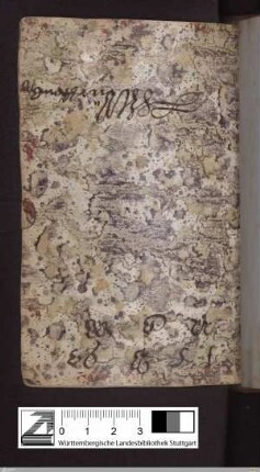 Ludwig Herzog von Württemberg, Eintrag, Türkisches Papier