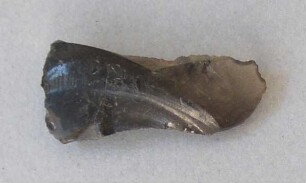 Stein
