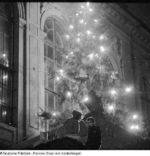 Weihnachtsbaum