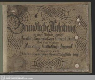 Calligraphia decorata d. i. Gründliche Anleitung zu einer zierlich gesetzten Juristisch Canzleymäßigen Cameral-Hand : Nebst einer besonderen Anweisung zum flüchtigen Zugwerck
