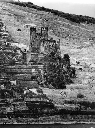 Rüdesheim am Rhein. Ruine der Burg Ehrenfels (um 1210)