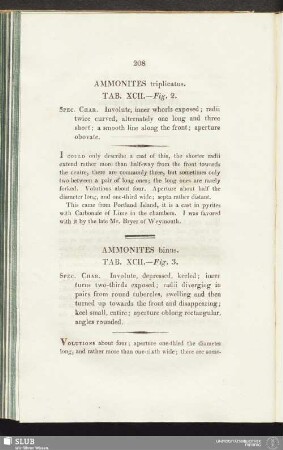 Ammonites triplicatus. Tab. XCII. - Fig. 2