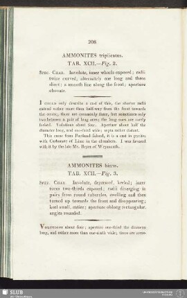 Ammonites triplicatus. Tab. XCII. - Fig. 2