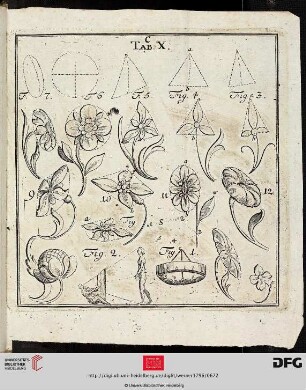 Tab. X Von Erfindung der Blumen. [Blumen (Schemata); perspektivische Wahrnehmung, Akt]