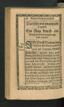 Das sechs und zwantzigste Capittel.