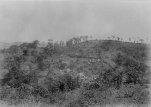Landschaft mit Siedlung