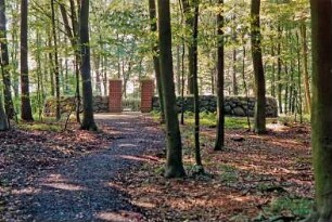 Jersbeker Forst: Grabanlage von Cossel: Außenansicht: Feldsteinmauer, Ziegelpfosten, Eisenpforte: davor Weg: Wald
