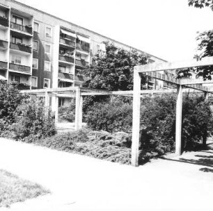Cottbus-Sandow, Artur-Becker-Straße (Muskauer Straße). Wohnblock (um 1970). Balkonseite über Grünanlage mit Pergola