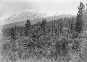 Pico del Teide : Der Vulkan Pico del Teide mit Umgebung