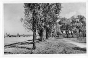 Postkarte Kehl am Rhein. Rheinpromenade