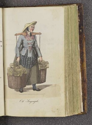Ook Singvagels