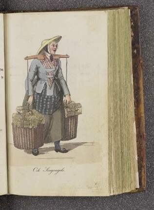 Ook Singvagels