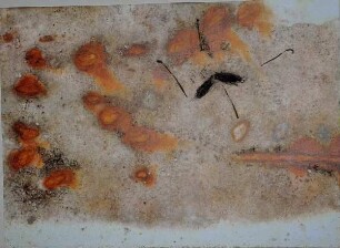 Insekten auf kopierter Roststruktur