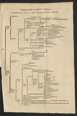 Synoptica Lib. X. [...] Ex Dn. Pacio