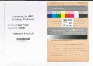Entnazifizierung Friedrich Wernicke, geb. 06.05.1902 (Ingenieur)