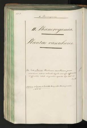 II. Phanerogamia. Plantae vasculares.