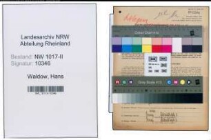 Entnazifizierung Hans Waldow , geb. 13.05.1901 (Verwalter)