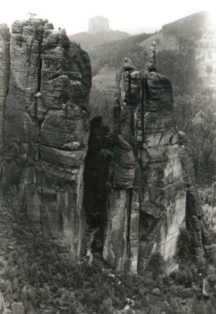 Sächsische Schweiz, Affensteine. Flachsköpfe und Brosinnadel. Blick vom Langen Horn nach Westen gegen Falkenstein und Hohe Liebe