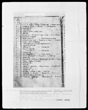 Hs. 653 & Braune Ottobeurer Codex & Necrologium Computus & fol 10v