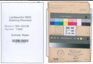 Entnazifizierung Walter Schmidt , geb. 01.08.1898 (Abt.Leiter)