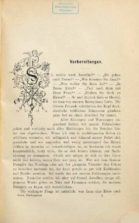 Eine Erholungsfahrt nach Texas und Mexico : Tagebuchblätter