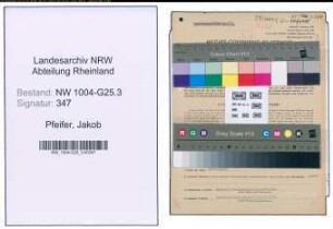 Entnazifizierung Jakob Pfeifer , geb. 06.07.1898 (Schuhkaufmann)