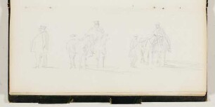 Pferde und Reiter - Studie Halbfigur