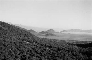 Workenna-Ebene : Blick über eine ebene, bewaldete Landschaft