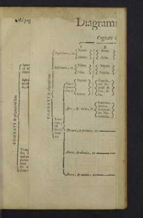 Diagramma juris civilis.