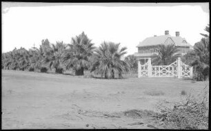 Mildura, Australien. Palm Avenue