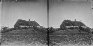 Pellwormer Warft : Blick auf eine Warft auf Pellworm.