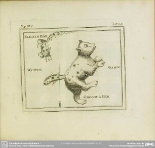 Fig. XLI