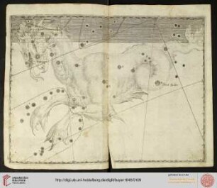 Tafel 34: Cetus (Walfisch)