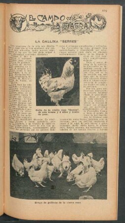 La gallina "Serres" : El campo y la chacra