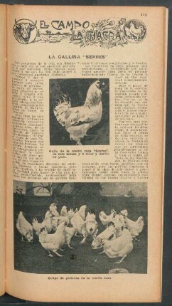 La gallina "Serres" : El campo y la chacra