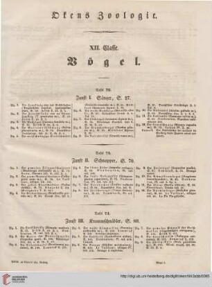 XII. Classe. Vögel