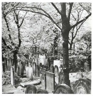 Mannheim, MA; Alter jüdischer Friedhof, Gräber