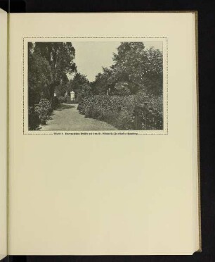 Überwachsene Grüfte auf dem St. Michaelis-Friedhof zu Hamburg