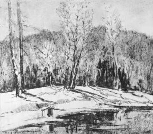 Waldstück am Ufer eines Sees : Bernkopf, Georg: Waldstück am Ufer eines Sees. Kohlezeichnung, bezeichnet "Georg Bernkopf."