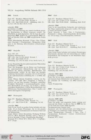 2.6. Ausgrabung 1965 / 66: Befunde 3001 - 3310