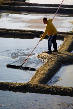 Frankreich. Pays de la Loire. Atlantique. Guerande. Marais Salants. Salinen