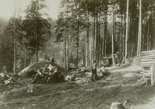 Steinbach, Kohlemeiler : Köhler und Meiler im Pressnitztal bei Steinbach im Erzgebirge