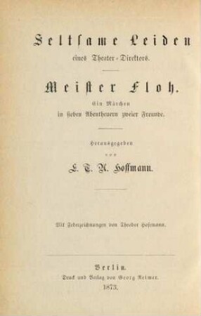 Bd. 10: Seltsame Leiden eines Theater-Directors